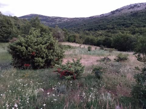 Senj - poljoprivredno zemljište