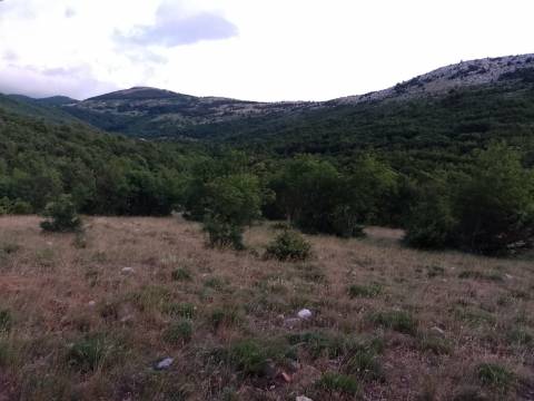 Senj - poljoprivredno zemljište