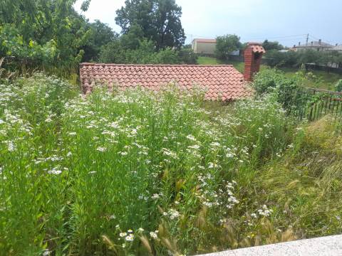 Дома Jušići, Matulji, 0m2