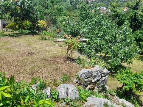 Prilika!!! Opatija-Poljane kuća 73 m2 i okućnica 1200 m2