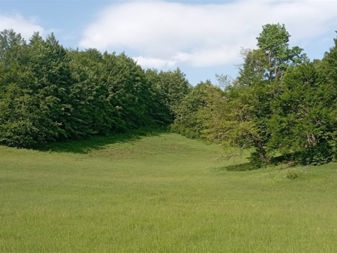Gorski Kotar, planinska kuća okružena mirom