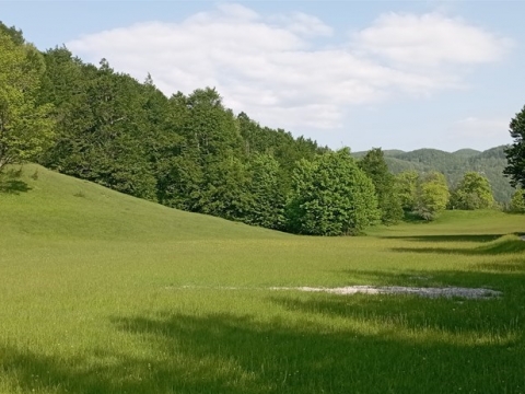 Gorski Kotar, planinska kuća okružena mirom