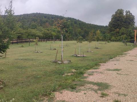 Donji Lapac, kuća sa velikim imanjem