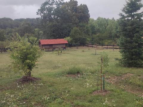 Donji Lapac, kuća sa velikim imanjem