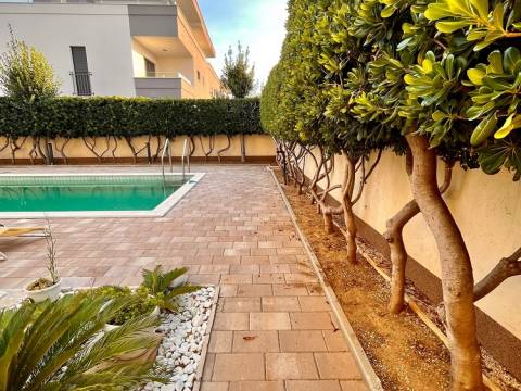 Vir, kuća 5 apartmana 100m do plaže-južna strana https://mydalmacia.de/