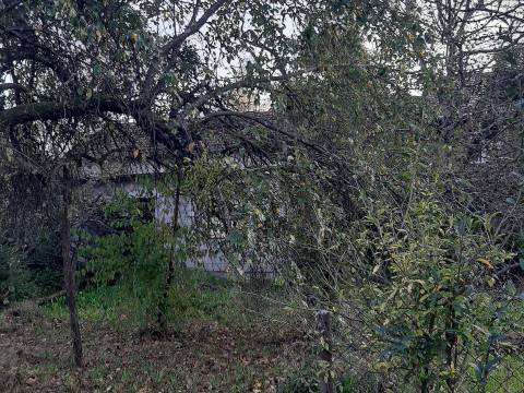 Galovec, Konjščina, 65m2