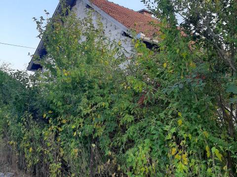 Houses Galovec, Konjščina, 65m2