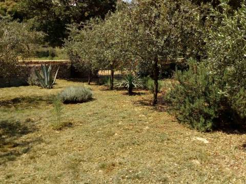 Vrh, Krk, 1.024m2