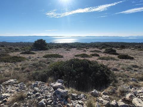Vir, 3.354m2