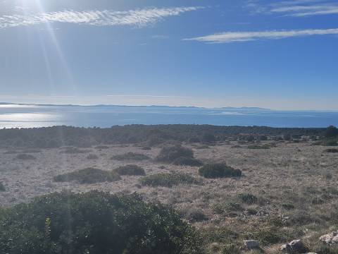 Vir, 3.354m2