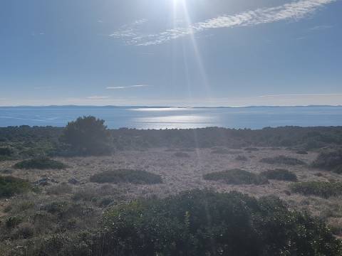 Vir, 3.354m2