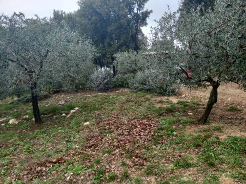 Vrh, Krk, 1.024m2