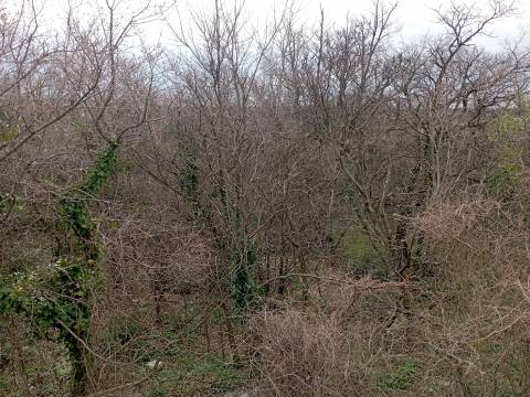 Kraljevica - zemljište u građevinskoj zoni