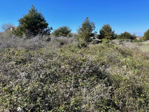 Vir, zemljište 722m², građevinsko područje,  pogled na more
