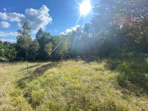 Lands Gornje Primišlje, Slunj, 55.000m2