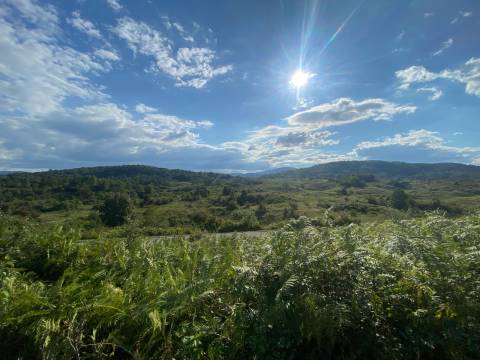 Lands Dubrave, Slunj, 210.000m2