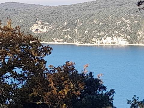 Poljoprivredni teren 10.038m2 blizu Rovinja!