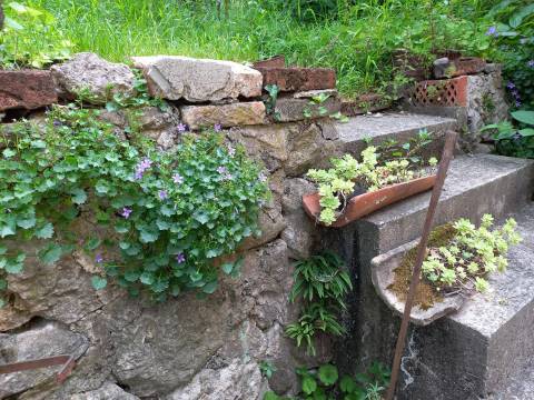 Opatija, Volosko, stan u staroj vili s terasom
