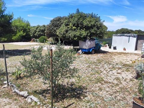 Vir, 600m2