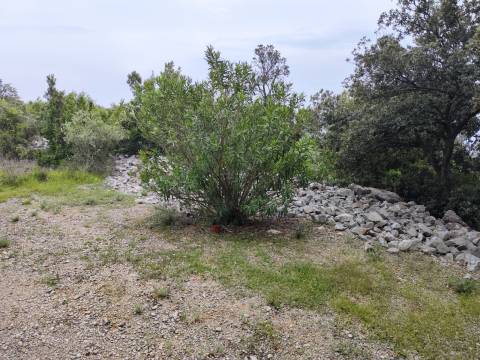 Lands Vrh, Krk, 1.020m2