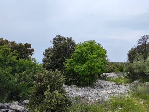 Lands Vrh, Krk, 1.020m2
