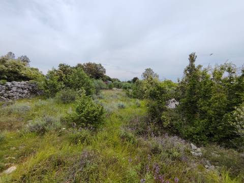 Lands Vrh, Krk, 1.020m2