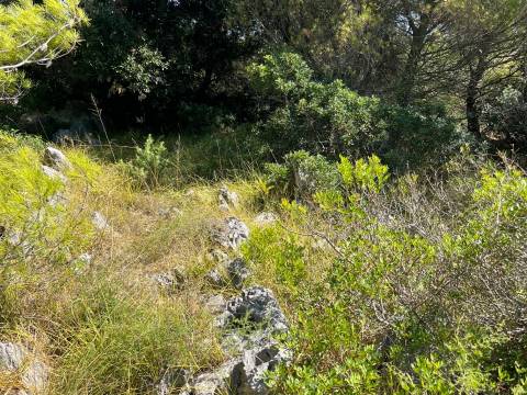 Lands Vir, 600m2