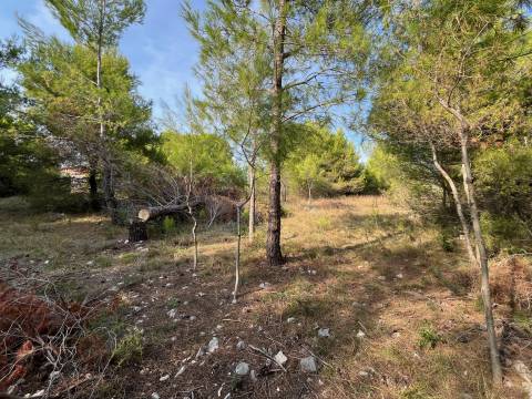 Lands Vir, 739m2