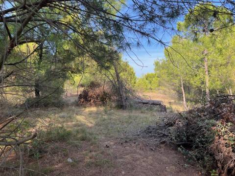 Lands Vir, 739m2