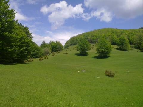 LEPENICE - 19 000 m2 