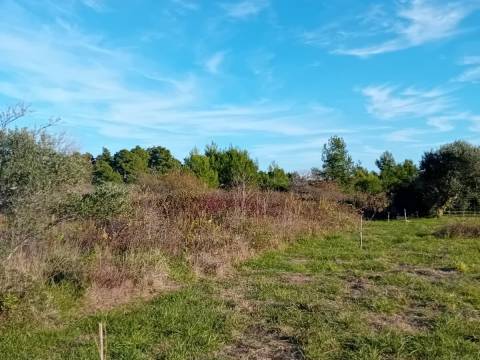 Kozjak,poljoprivredno zemljište na lijepoj lokaciji 1350 m2