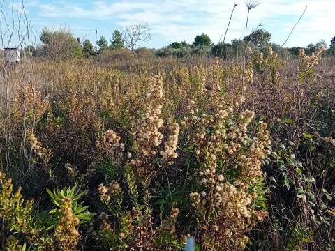 Kozjak,poljoprivredno zemljište na lijepoj lokaciji 1350 m2
