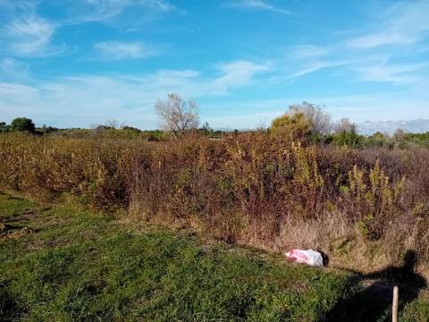 Kozjak,poljoprivredno zemljište na lijepoj lokaciji 1350 m2