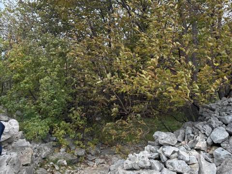 Земельные участки Hreljin, Bakar, 1.105m2