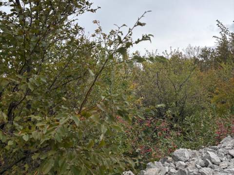 Земельные участки Hreljin, Bakar, 1.105m2