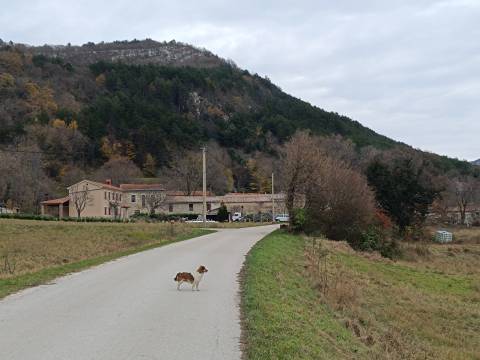 Prilika Brest pod Učkom! Parcela sa zemljištem 200000 m2