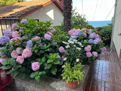 Opatija stan od 32m2 na 200m od mora
