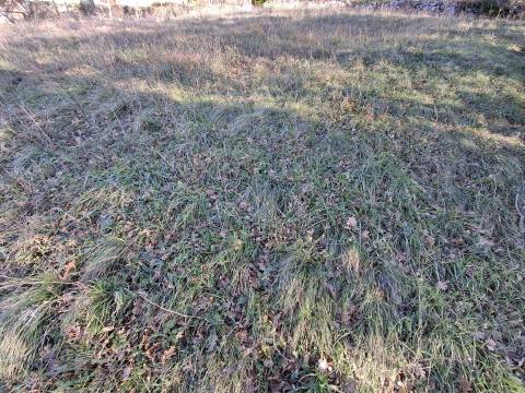 Lands Bribir, Vinodolska Općina, 1.340m2