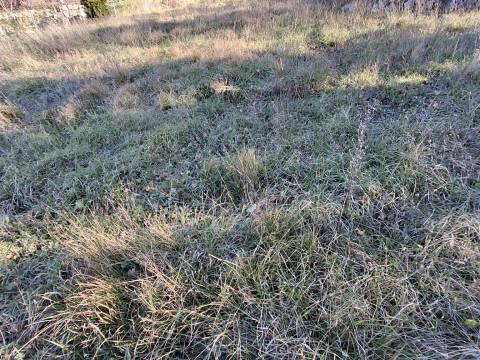 Lands Bribir, Vinodolska Općina, 1.340m2