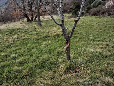 Bribir, Vinodolska Općina, 185m2
