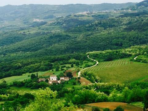 Prilika za investitore u Motovunu - građevinsko zemljište na mirnoj lokaciji