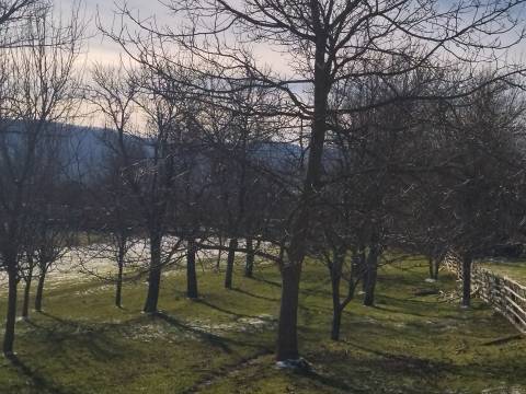 Brinje, 100m2