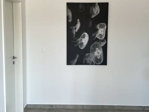 Vodnjan, 160m2