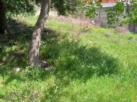 KUĆA NOVI VINODOLSKI - 250m od mora