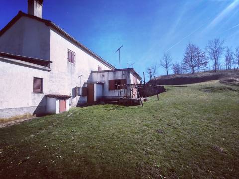 Boljun, Lupoglav, 102.000m2