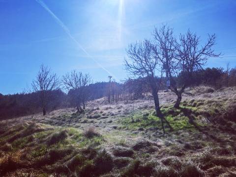 Boljun, Lupoglav, 102.000m2