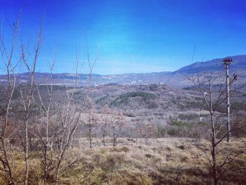 Boljun, Lupoglav, 102.000m2