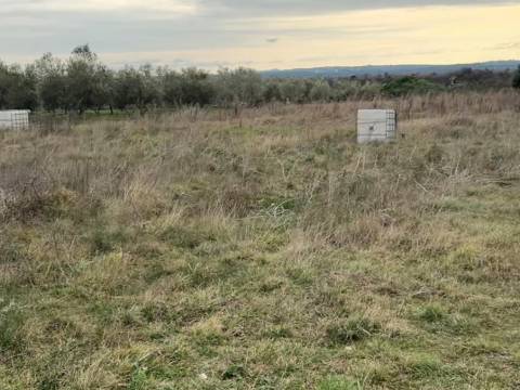 Građevinsko zemljište 927m²  Murvica,  pogled na maslinik