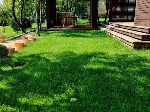 Istra - APSOLUTNA PRILIKA - posebna Villa  s bazenom  na parzeli od 1998 m2 