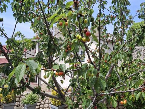 NOVI VINODOLSKI – OBNOVLJENA HIŠA, 2 STAMBENI ENOTI
